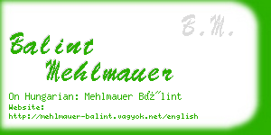 balint mehlmauer business card